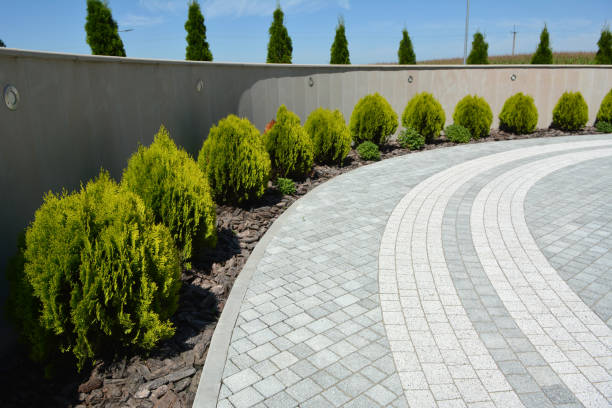 Professional Driveway Pavers in Pine Mountain Clu, CA